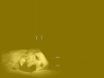 Chien Andalou